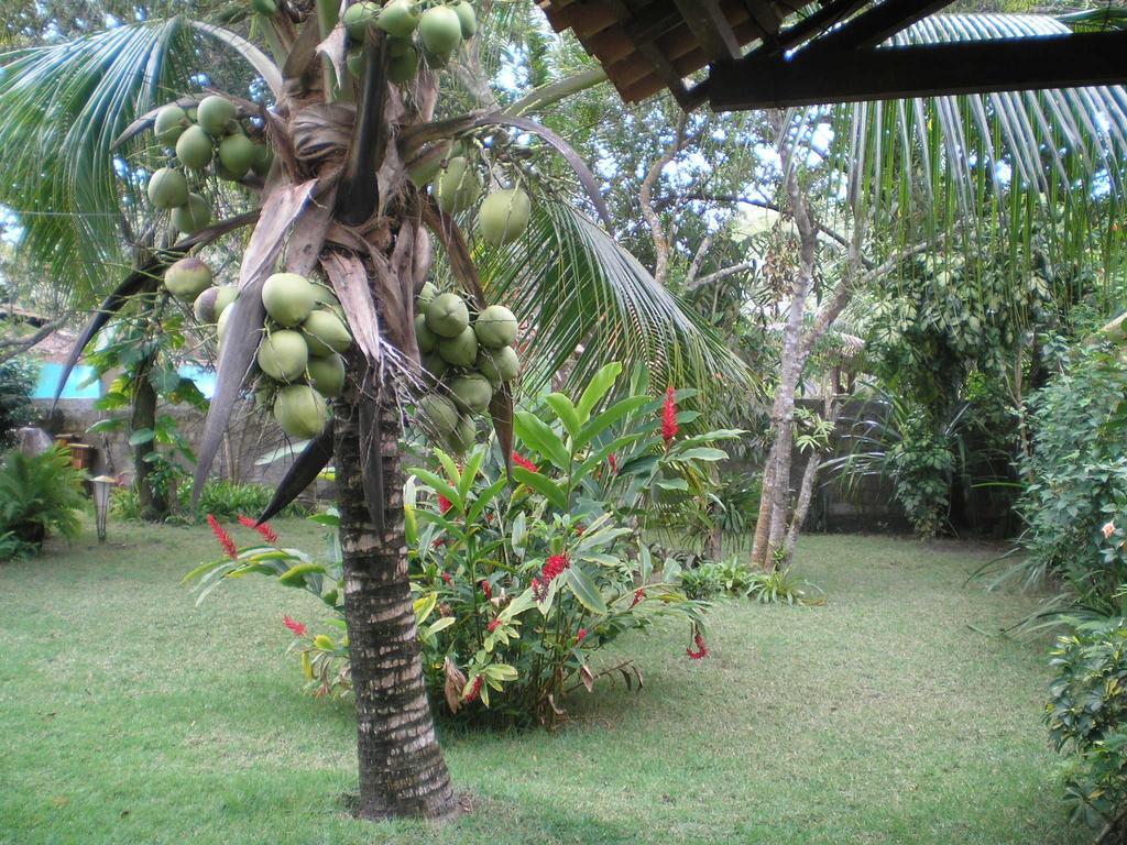 Casa Da Duda Vila Porto Seguro Quarto foto